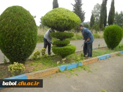 نیروهای خدماتی در حال انجام کار