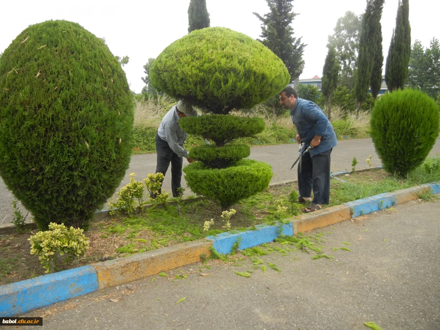 نیروهای خدماتی در حال انجام کار