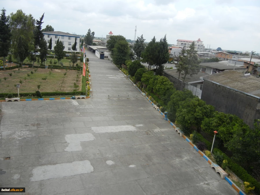 نمایی دیگر از محوطه مرکز