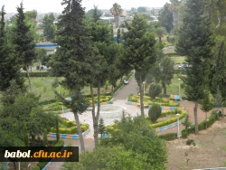 نمایی دیگر  از محوطه مرکز