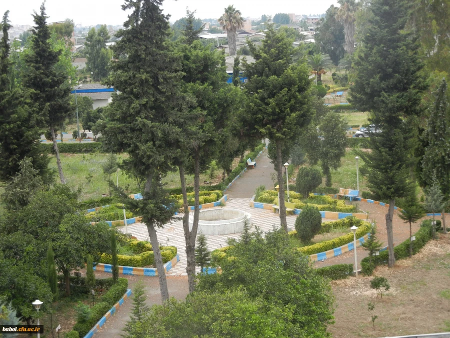 نمایی دیگر  از محوطه مرکز