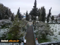 امروز مرکز در یک نگاه