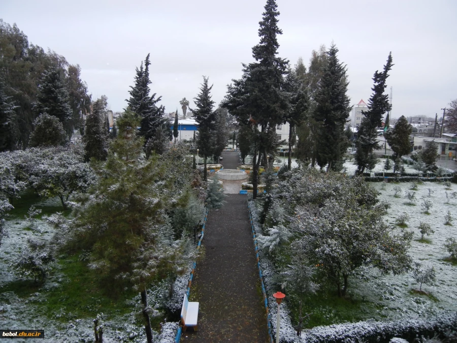 امروز مرکز در یک نگاه