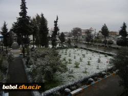 امروز مرکز در یک نگاه