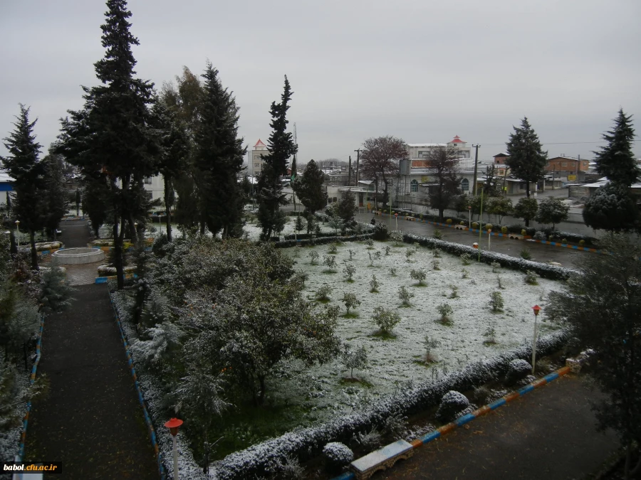 امروز مرکز در یک نگاه