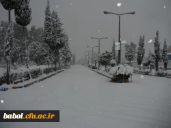 مرکز در یک نگاه 92/11/13