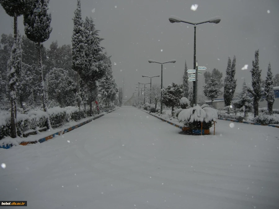 مرکز در یک نگاه 92/11/13