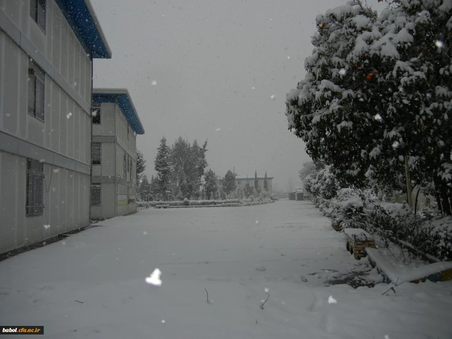 مرکز در یک نگاه 92/11/13