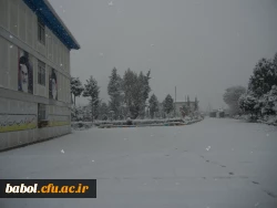 مرکز در یک نگاه 92/11/13