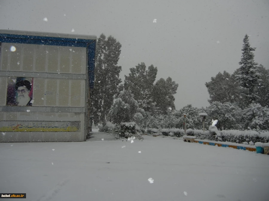 مرکز در یک نگاه 92/11/13