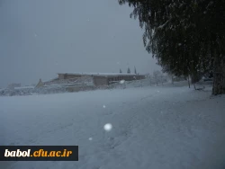 مرکز در یک نگاه 92/11/13