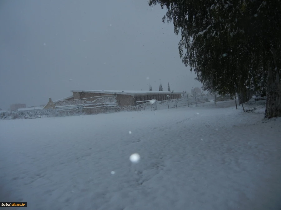 مرکز در یک نگاه 92/11/13