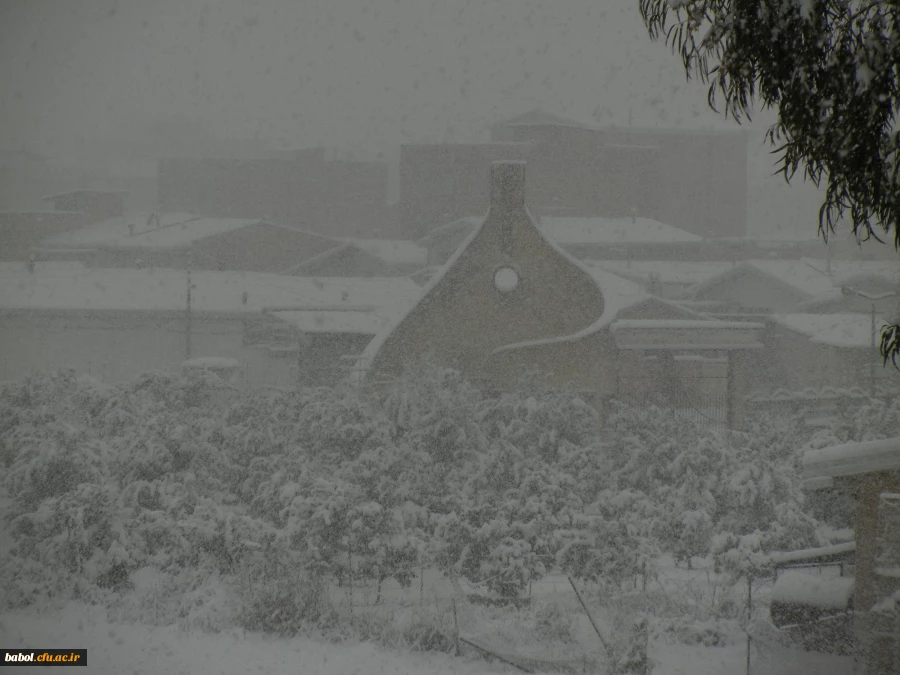 مرکز در یک نگاه 92/11/13