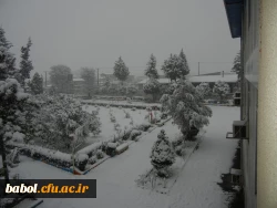 مرکز در یک نگاه 92/11/13