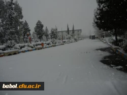 مرکز در یک نگاه 92/11/13