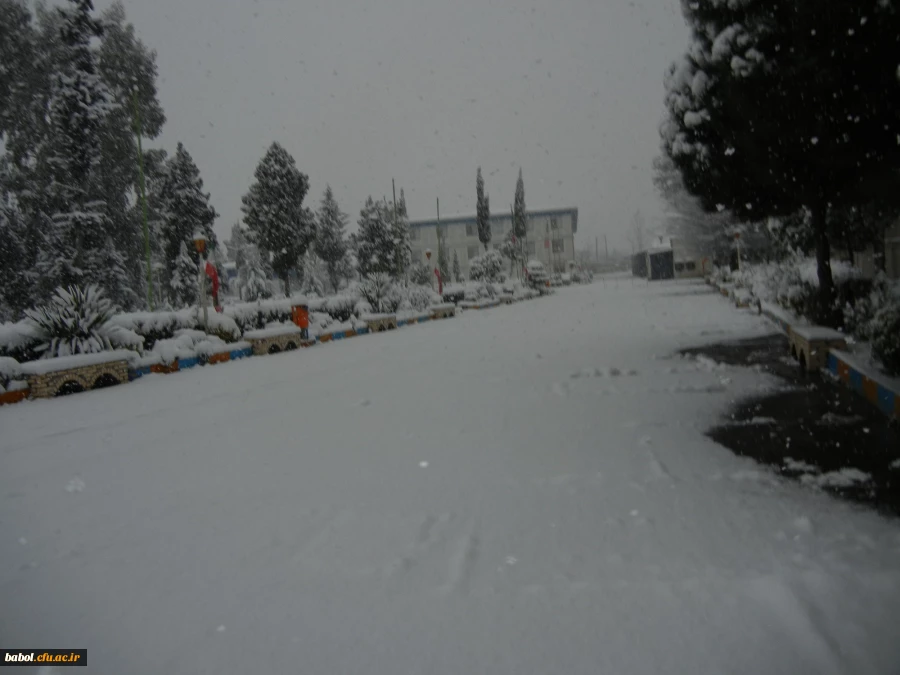 مرکز در یک نگاه 92/11/13