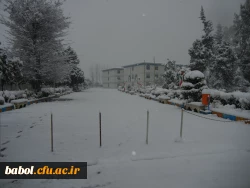 مرکز در یک نگاه 92/11/13