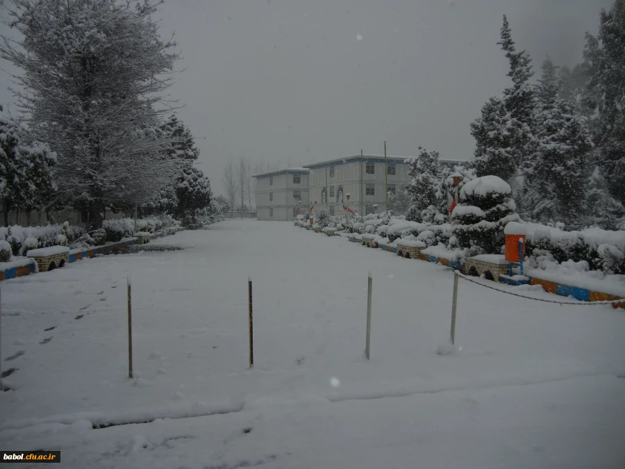 مرکز در یک نگاه 92/11/13