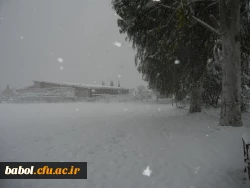 مرکز در یک نگاه 92/11/13