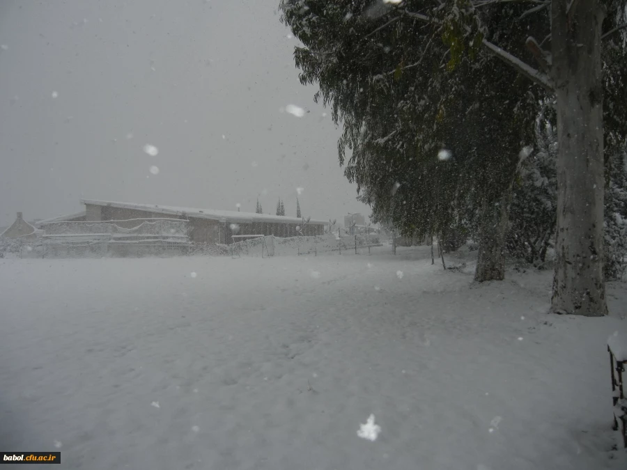 مرکز در یک نگاه 92/11/13