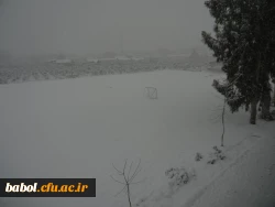 مرکز در یک نگاه 92/11/13