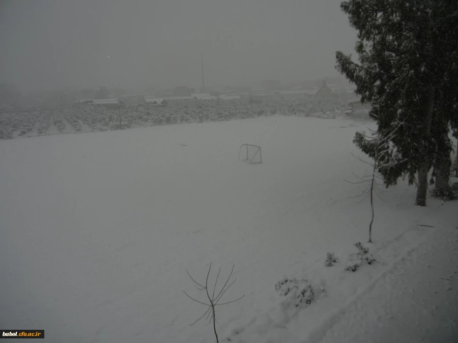 مرکز در یک نگاه 92/11/13