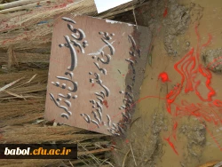 یادواره  33تن از شهیدان والامقام  استاد و دانشجوی مرکز آموزش عالی شهید رجایی بابل