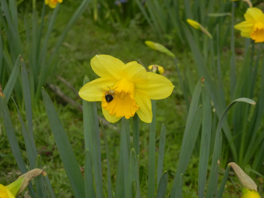 رویش جوانه ها و بوی بهـــــار در مرکز