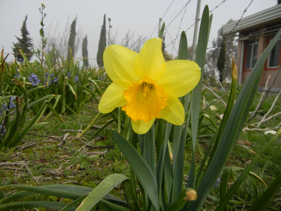 رویش جوانه ها و بوی بهـــــار در مرکز