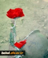 روز بزرگداشت شهدا