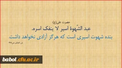 امام علی(ع):   

 بنده شهوت اسیرى است که هرگز آزادى نخواهد داشت.