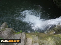 اردوی یک روزه دانشجویان غیربومی مرکز به منطقه زیبای بندپی شهرستان بابل