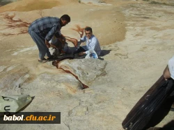 اردوی  مسئولین و همکاران مرکز به چشمه باداب سورت کیاسر ساری زیباترین چشمه جهان