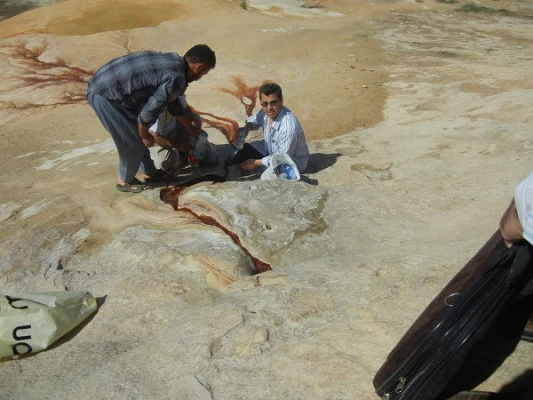 اردوی  مسئولین و همکاران مرکز به چشمه باداب سورت کیاسر ساری زیباترین چشمه جهان