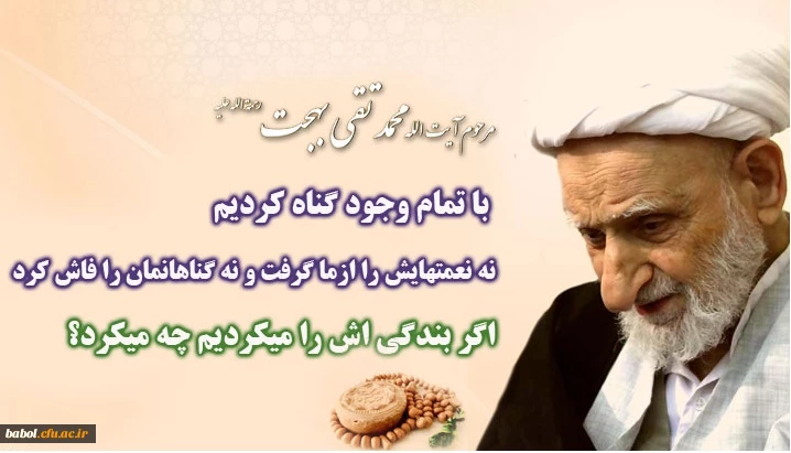 گفتارهای حکیمانه آیت الله بهجت(ره)