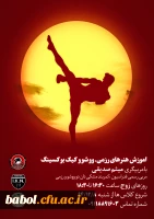آموزش هنرهای رزمی ووشو  و ... توسط دانشجو معلم  آقای میثم  صدیقی