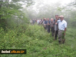 اردوی سیاحتی اساتید و کارکنان مرکز به منطقه زیبای بندپی