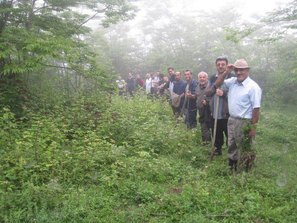 اردوی سیاحتی اساتید و کارکنان مرکز به منطقه زیبای بندپی