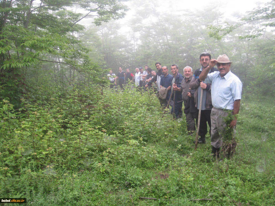 اردوی سیاحتی اساتید و کارکنان مرکز به منطقه زیبای بندپی