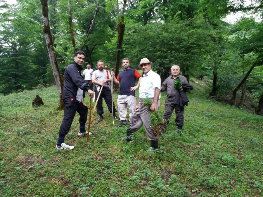 اردوی سیاحتی اساتید و کارکنان مرکز به منطقه زیبای بندپی