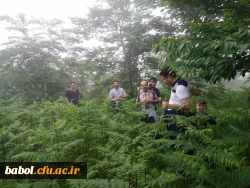 اردوی سیاحتی اساتید و کارکنان مرکز به منطقه زیبای بندپی