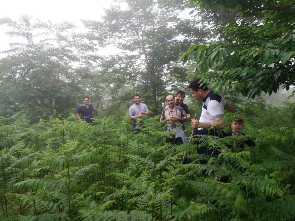 اردوی سیاحتی اساتید و کارکنان مرکز به منطقه زیبای بندپی