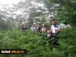 اردوی سیاحتی اساتید و کارکنان مرکز به منطقه زیبای بندپی