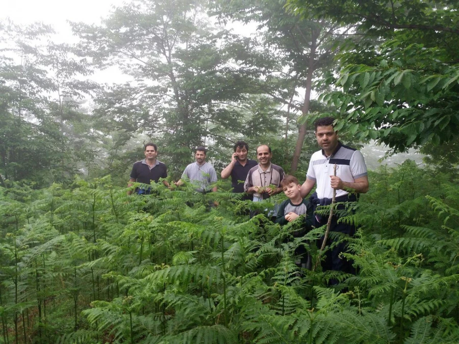 اردوی سیاحتی اساتید و کارکنان مرکز به منطقه زیبای بندپی