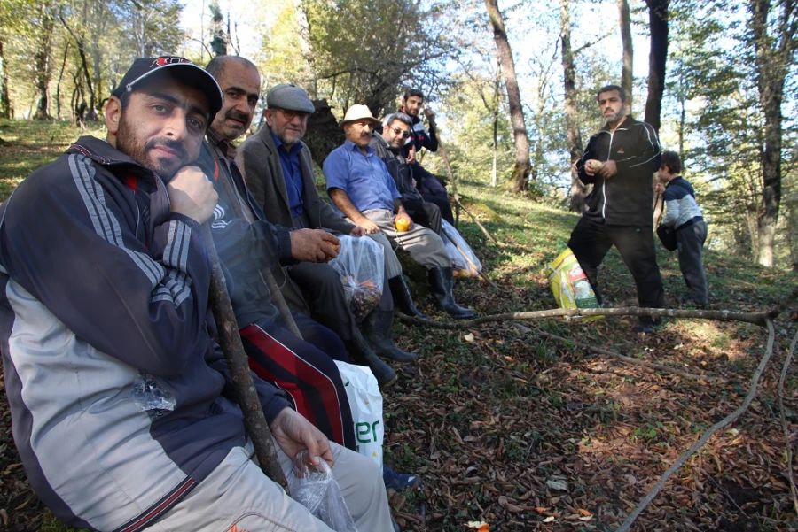 اردوی تفریحی و سیاحتی کارکنان مرکز به منطقه زیبای بندپی شرقی روستای آری شهرستان بابل