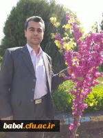 ابراهیم یعقوبی زاد گروی