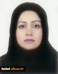 دکتر فاطمه جعفری کمانگر استادیار  گروه زبان و ادبیات فارسی دانشگاه فرهنگیان