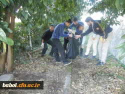 طرح جهادی نظافت در محیط دانشگاه