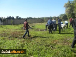 طرح جهادی نظافت در محیط دانشگاه