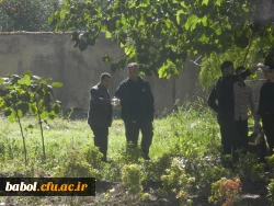 طرح جهادی نظافت در محیط دانشگاه